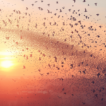 DIE RAUMGEBER Führungskultur Eigenverantwortung